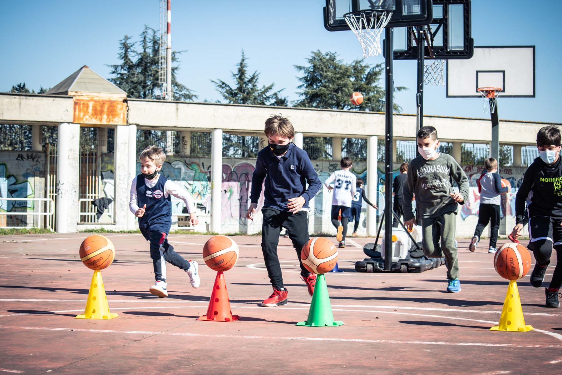 mini basket ciampino frassati